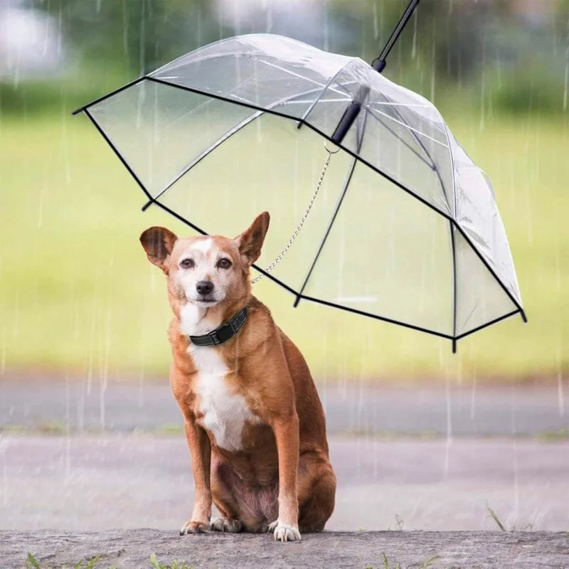 Dog Umbrella with Leash