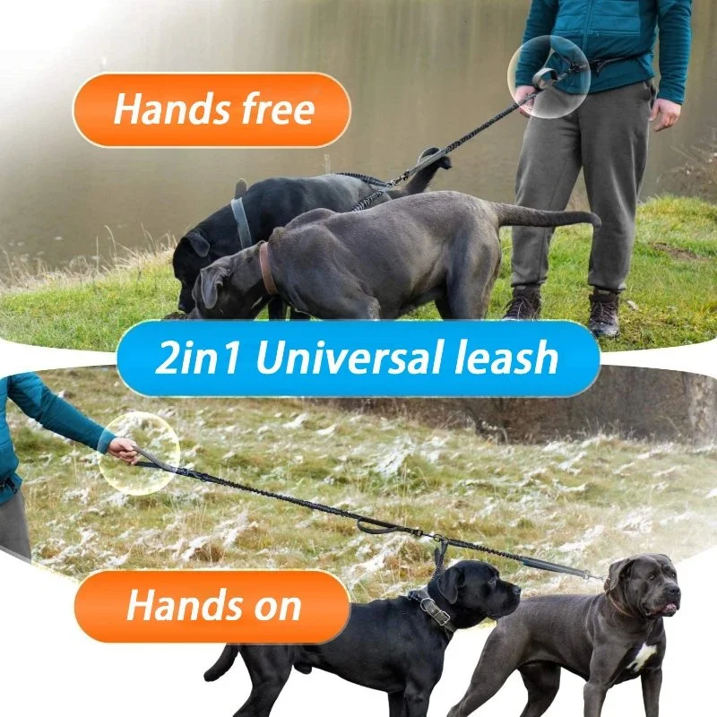 Reflective Hands-Free Double Dog Leash with Padded Handles