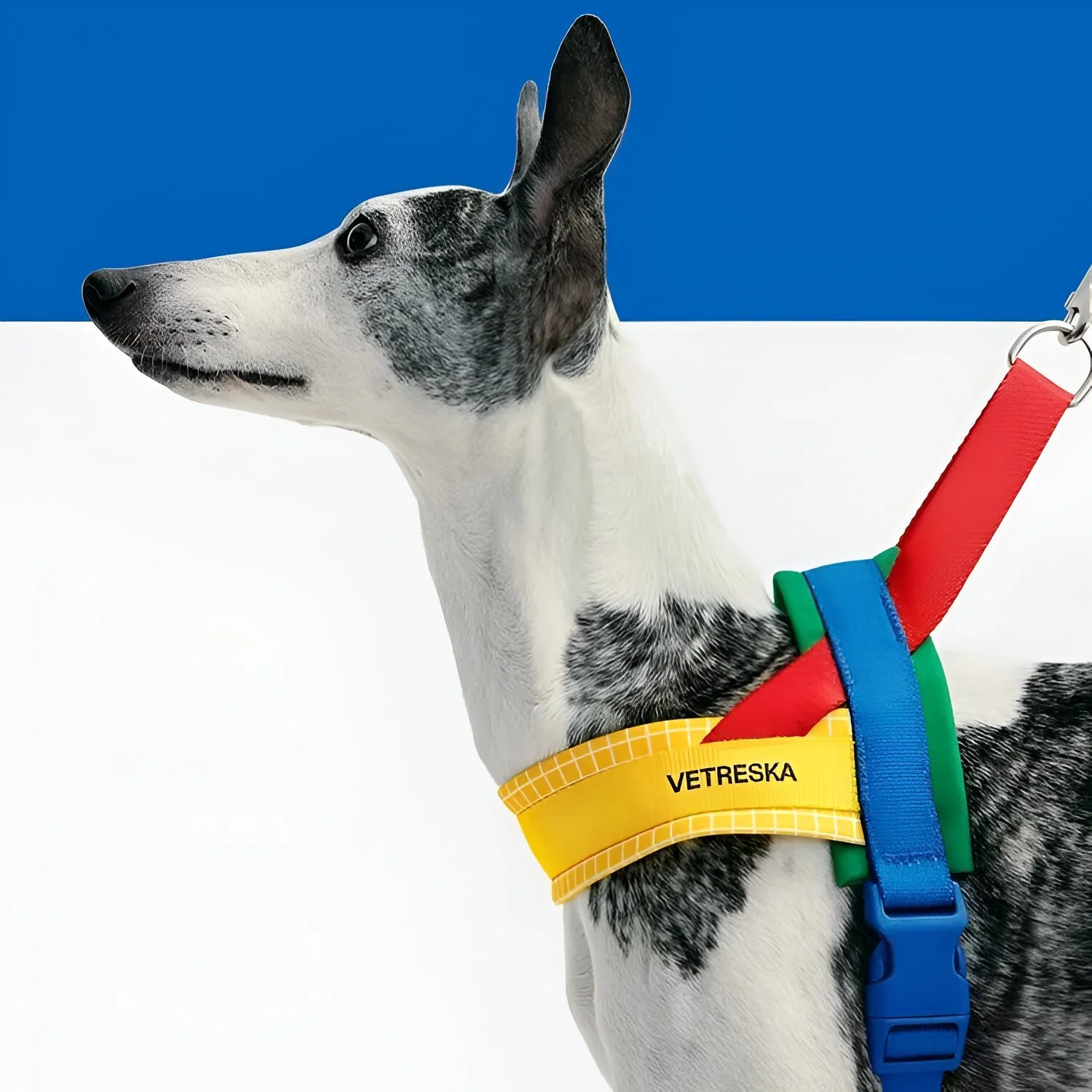 Dog Harness and Leash Set for Large Dogs