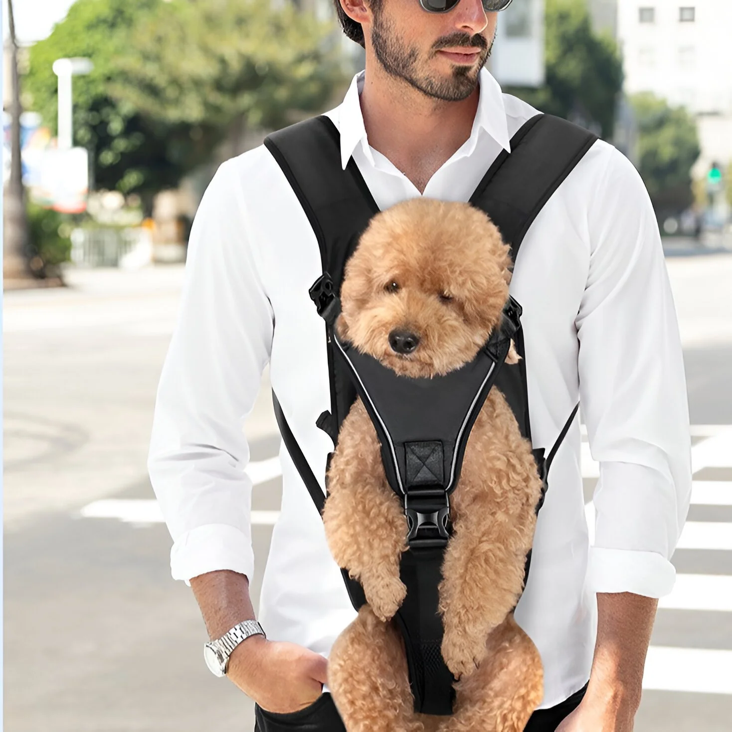 Luxury Travel Dog Backpack Shoulder Bag for Hiking & Transport