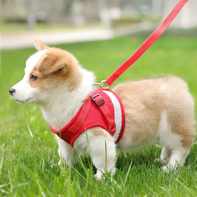 Reflective Dog Harness with Leash
