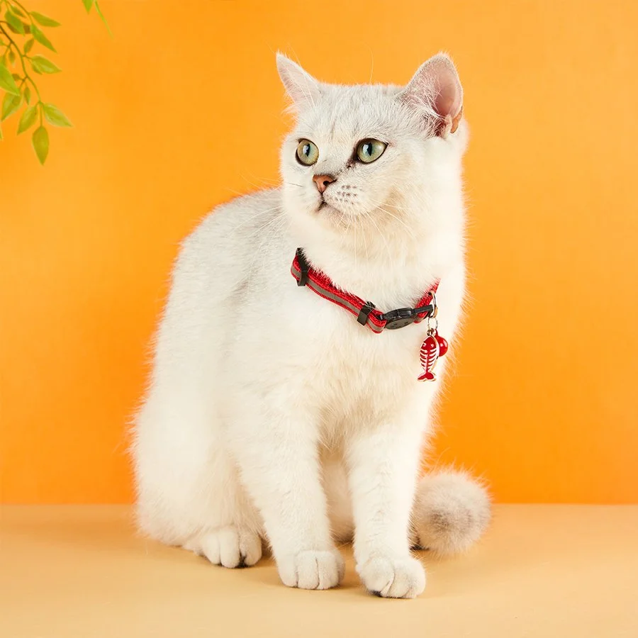 Reflective Cat & Dog Collars with Bells