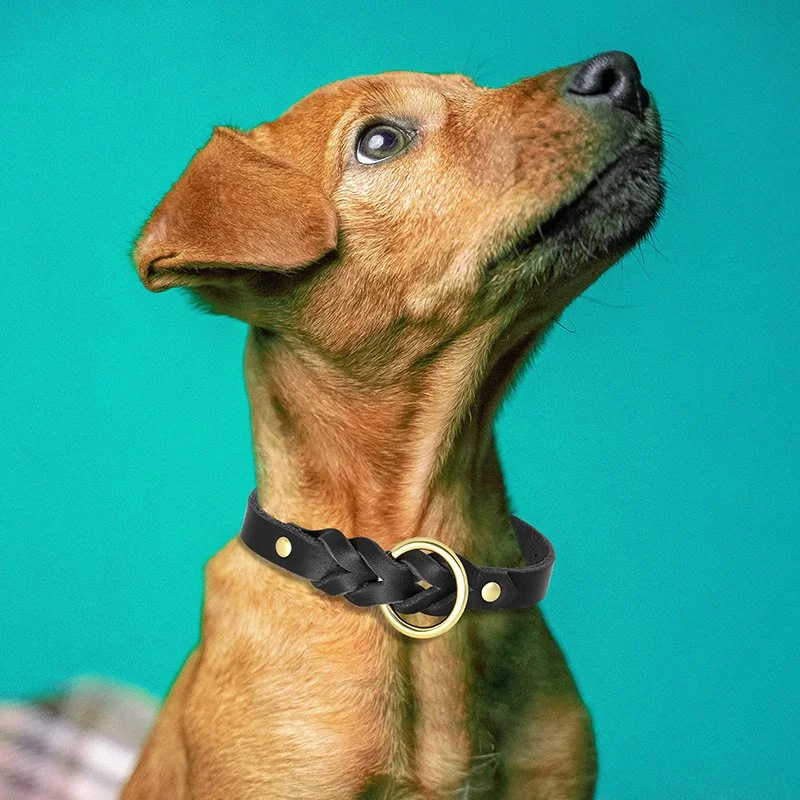 Durable Braided Genuine Leather Dog Collar