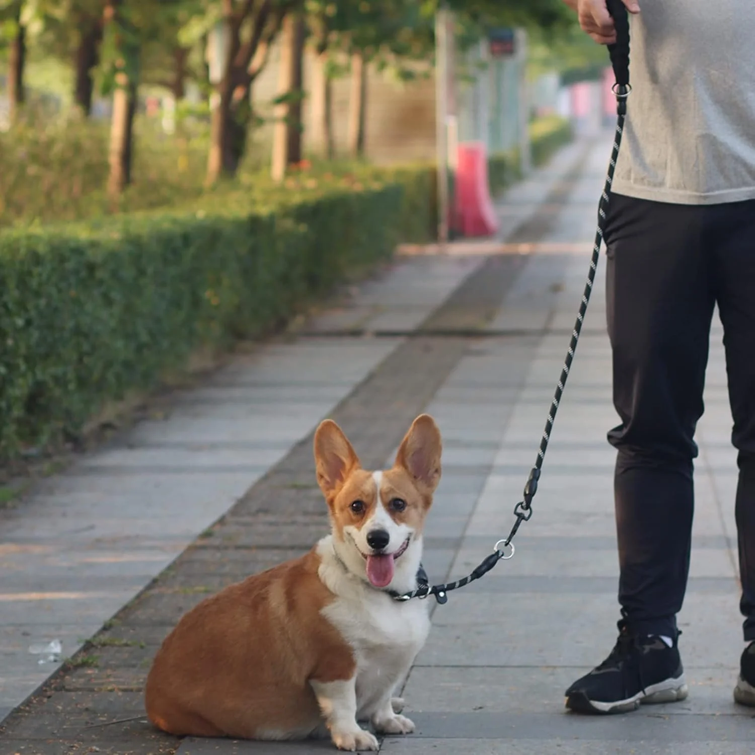 No Pull Reflective Dog Slip Collar with Adjustable Sliding Stopper for Training
