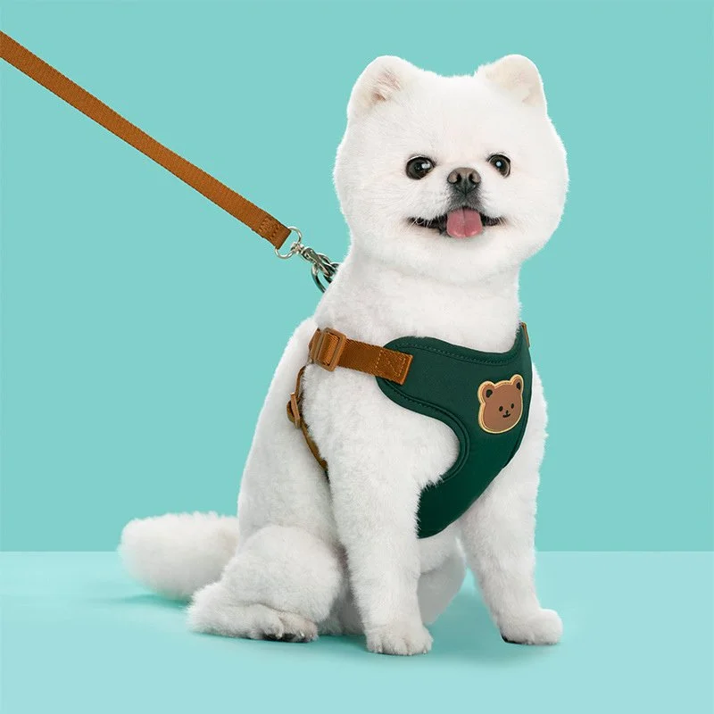 Cute Bear Pet Harness Leash Set for Dogs & Cats
