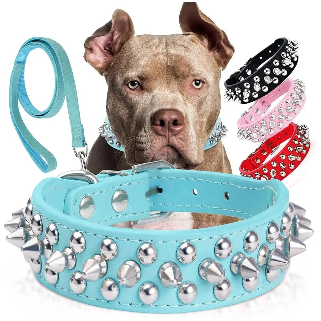 Luxury Leather Dog Collar and Leash Set