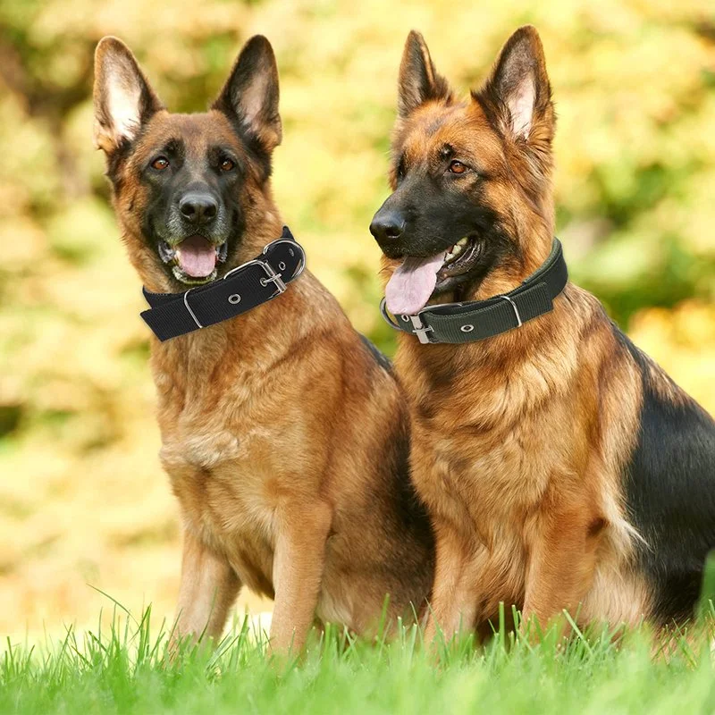 Heavy Duty Tactical Dog Collar