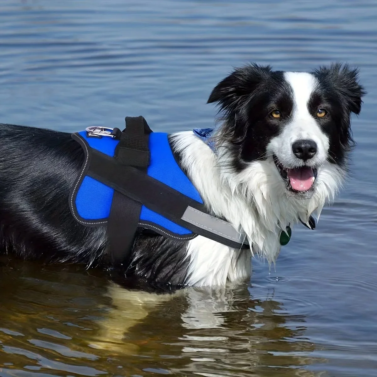 Reflective Dog Harness & Leash Set
