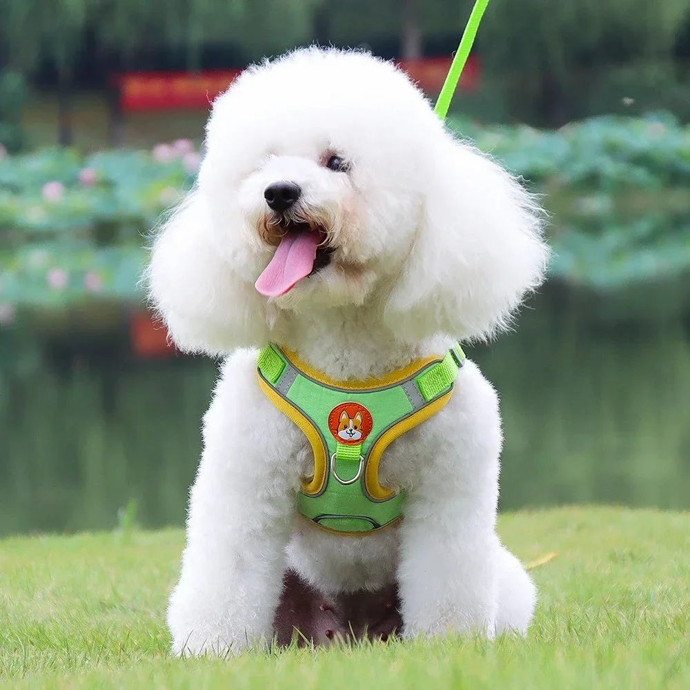 Adjustable No-Pull Dog Harness and Leash Set
