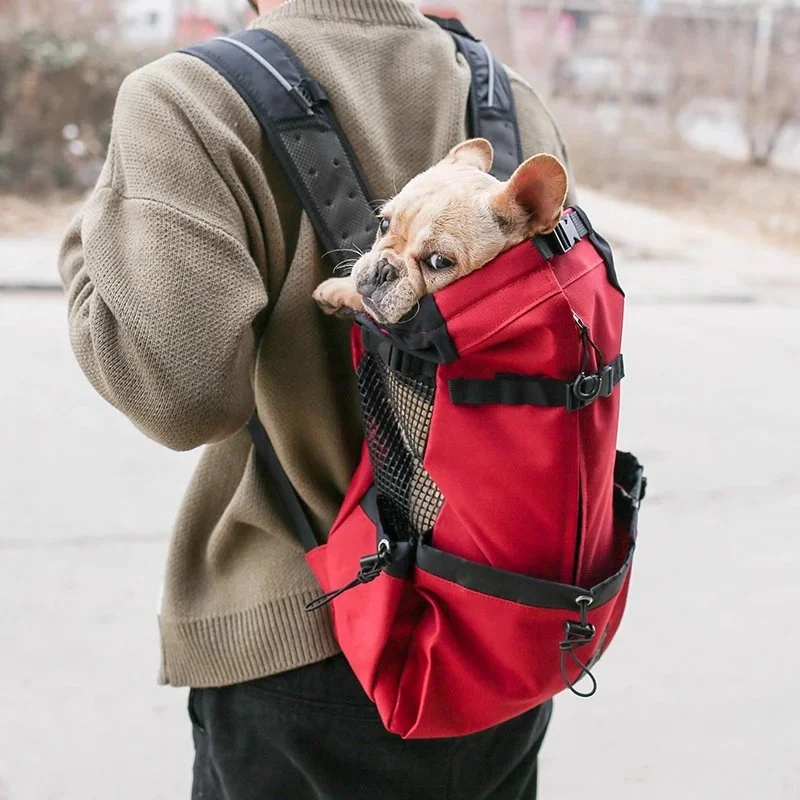 Breathable Outdoor Dog Backpack Carrier for Small & Medium Dogs