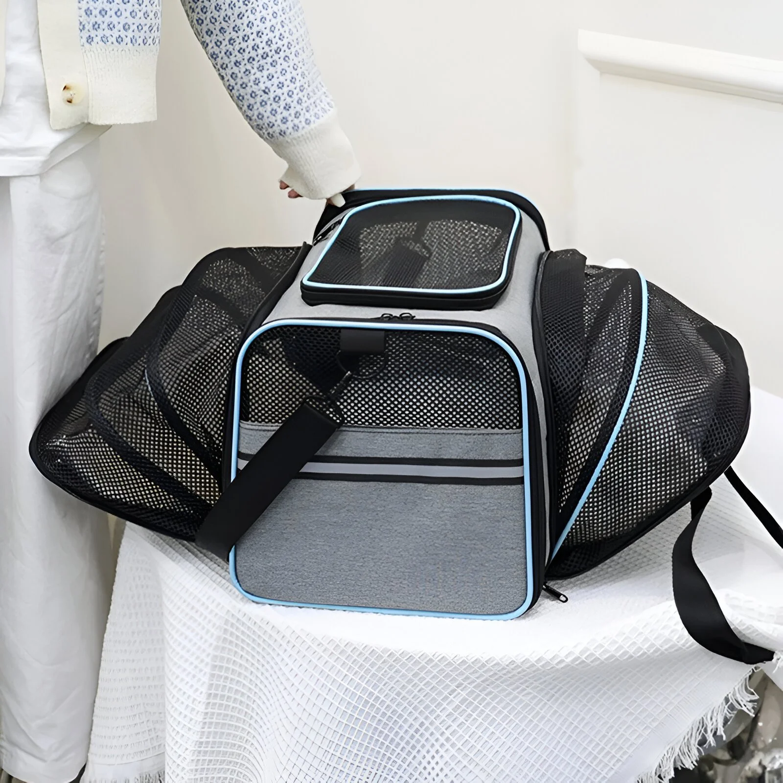 Portable Breathable Foldable Pet Carrier Backpack for Cats & Small Dogs