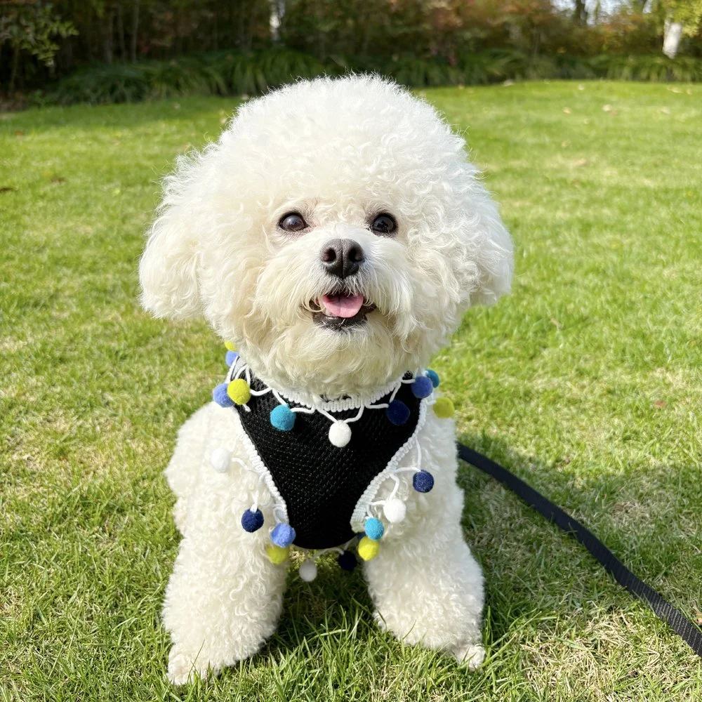 Adjustable Breathable Mesh Small Dog & Cat Harness with Leash