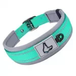 Adjustable Padded Reflective Dog Collar – Heavy Duty Nylon for Small to XL Dogs