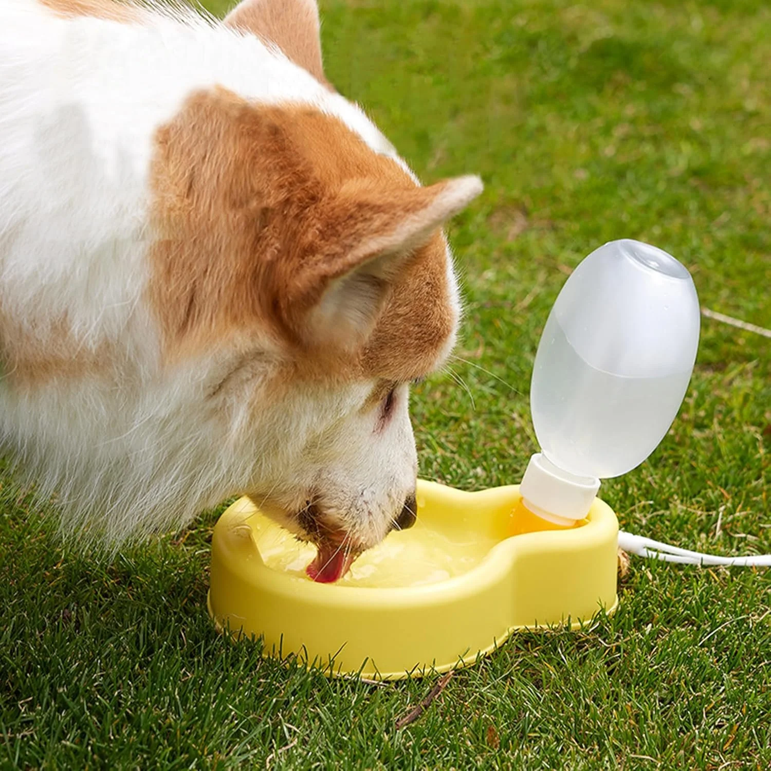 Portable Pet Water Bottle with Foldable Bowl
