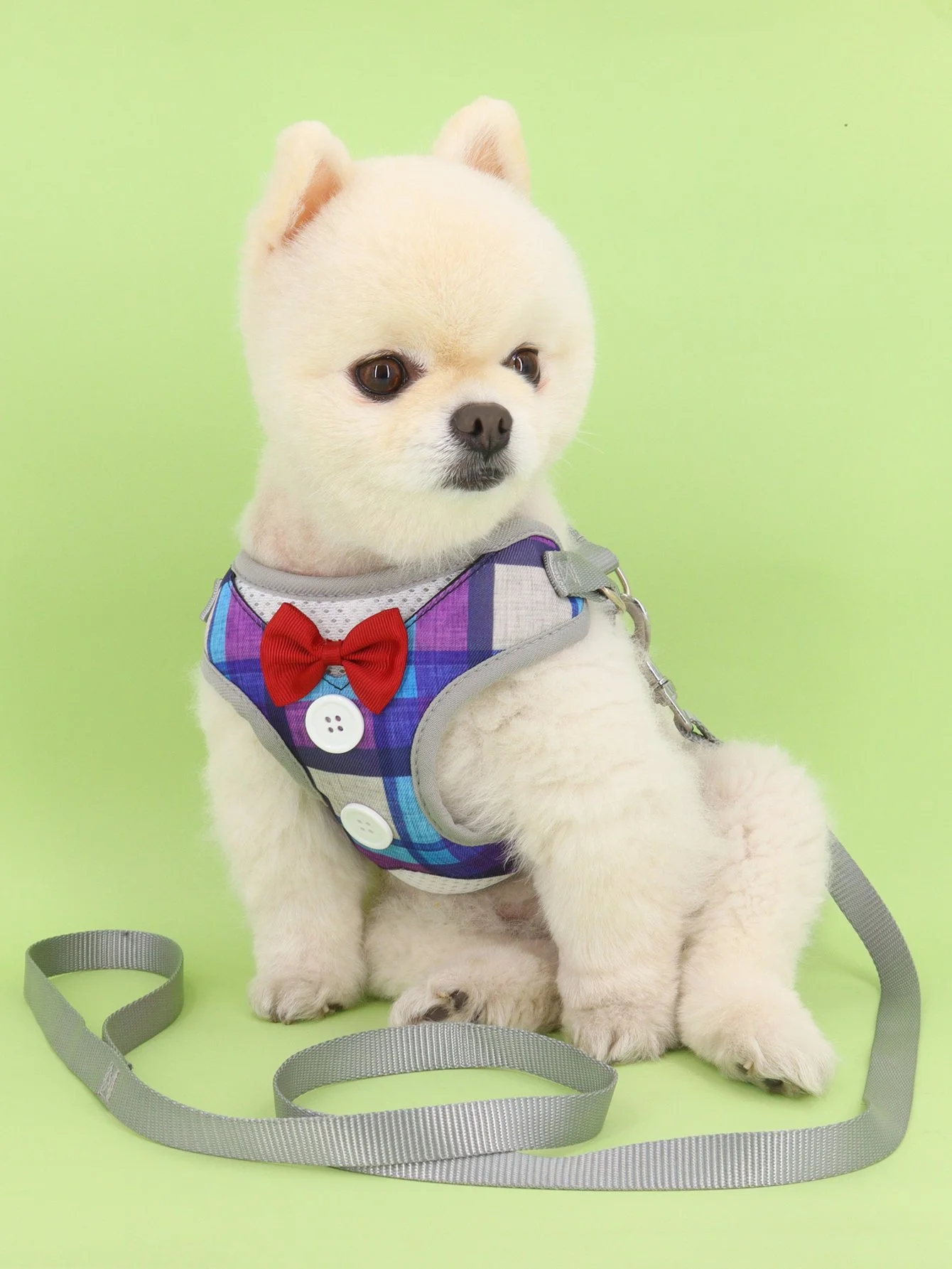 Adjustable Padded Dog Harness for Walking and Training