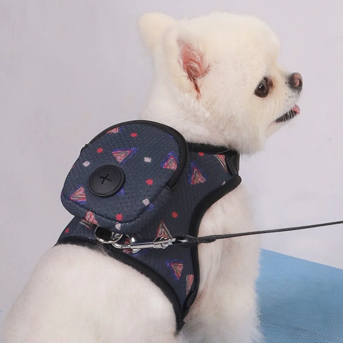 Adjustable Dog Harness with Padded Straps