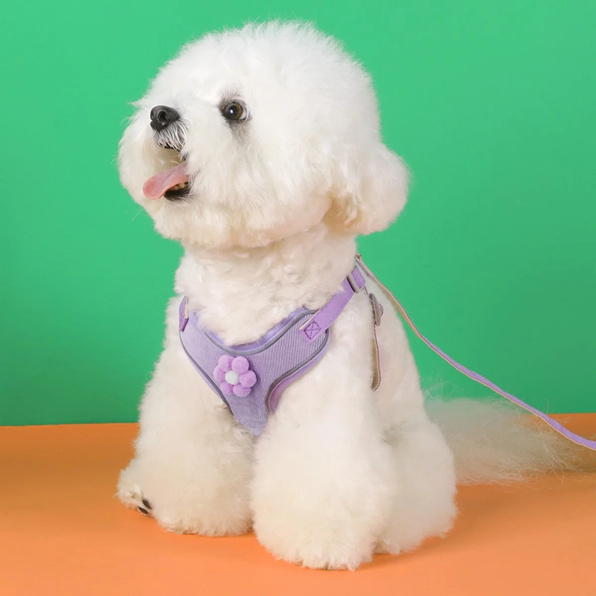 Adjustable Pet Harness and Leash Set for Small Dogs and Cats – Soft & Secure