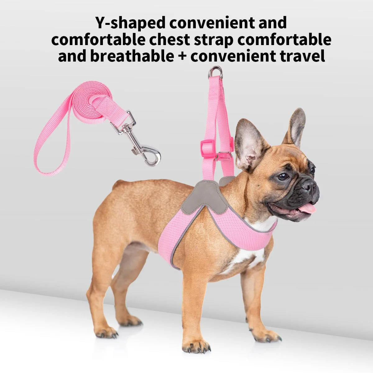 Comfort Fit Y-Shaped Dog Harness with Leash – Adjustable & Breathable Vest Set