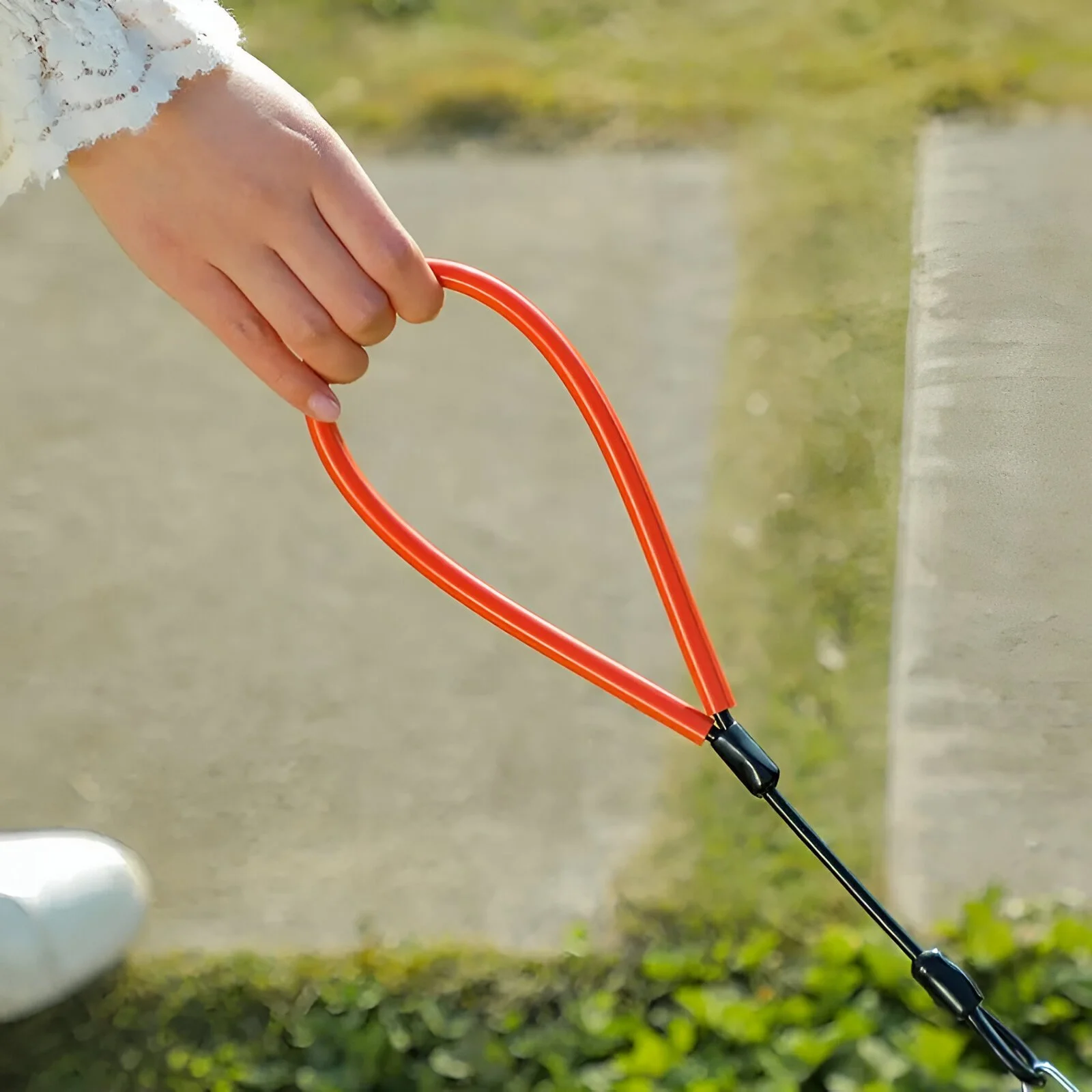Chew-Proof Steel Wire Dog Leash