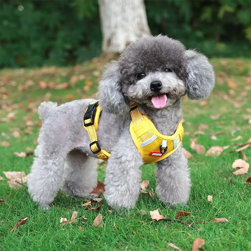 Adjustable No-Pull Reflective Dog Harness with Leash