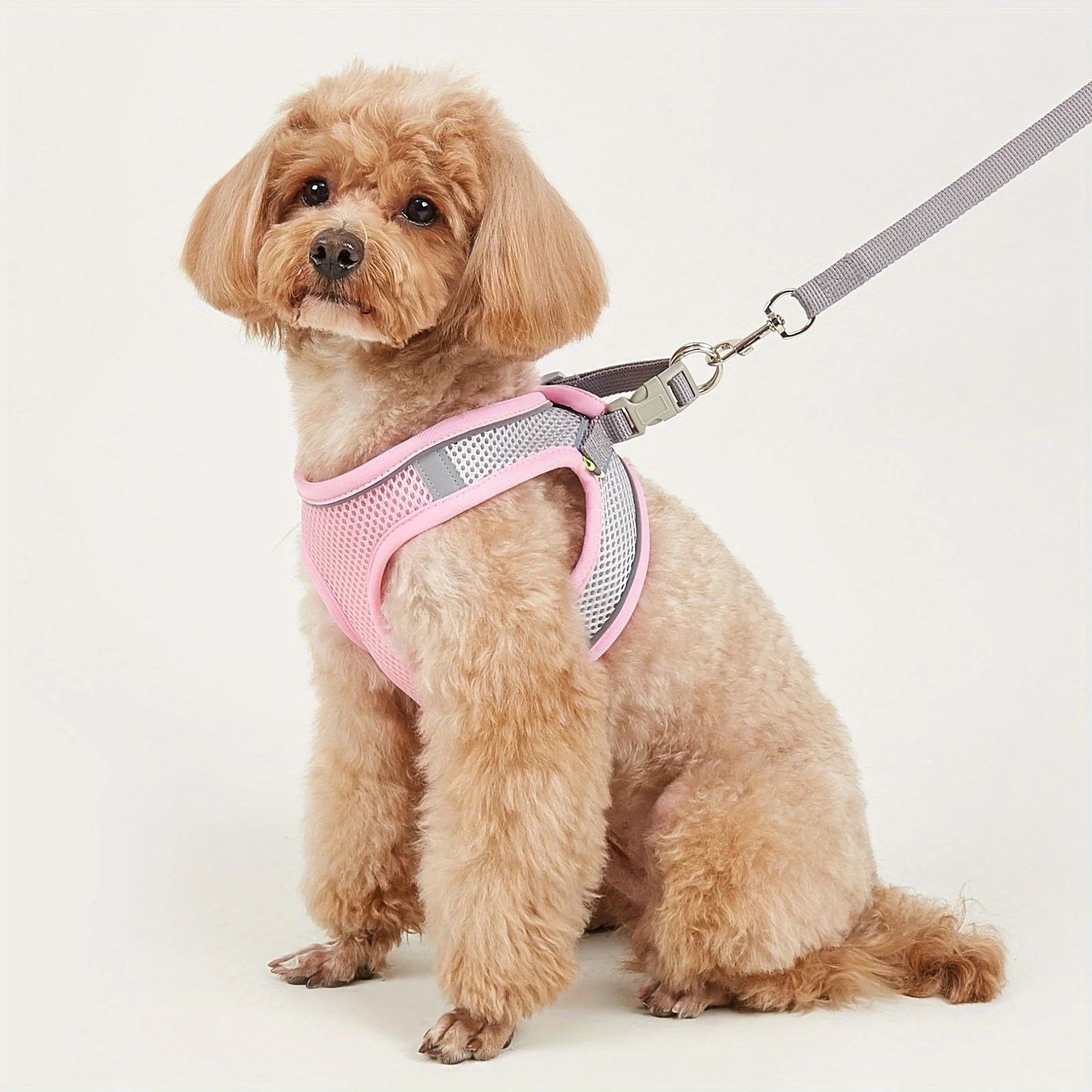 Reflective Soft Mesh Dog Harness for Small & Medium Breeds