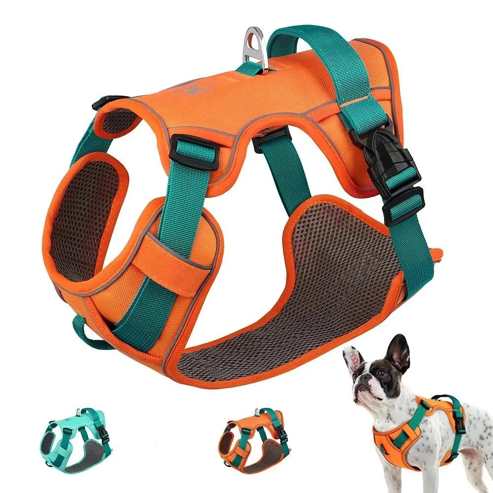 Adjustable Dog Harness and Leash Set for Puppies and Large Breeds