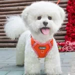 Adjustable Tactical Dog Harness Vest for Small Dogs and Cats