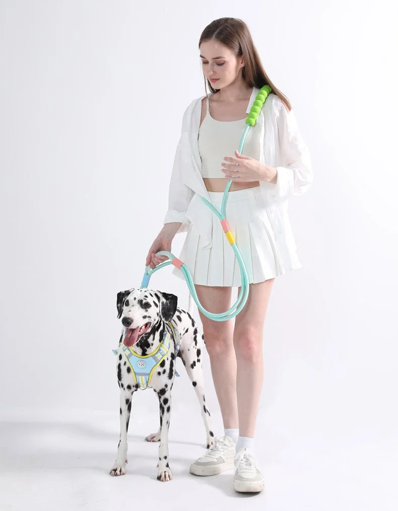 Heavy-Duty Nylon Dog Leash – Adjustable, Tangle-Free, Explosion-Proof Design