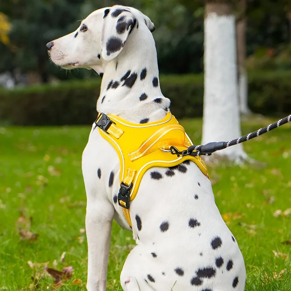 Ultra-Light No-Pull Dog Harness with Quick-Release and Reflective Safety