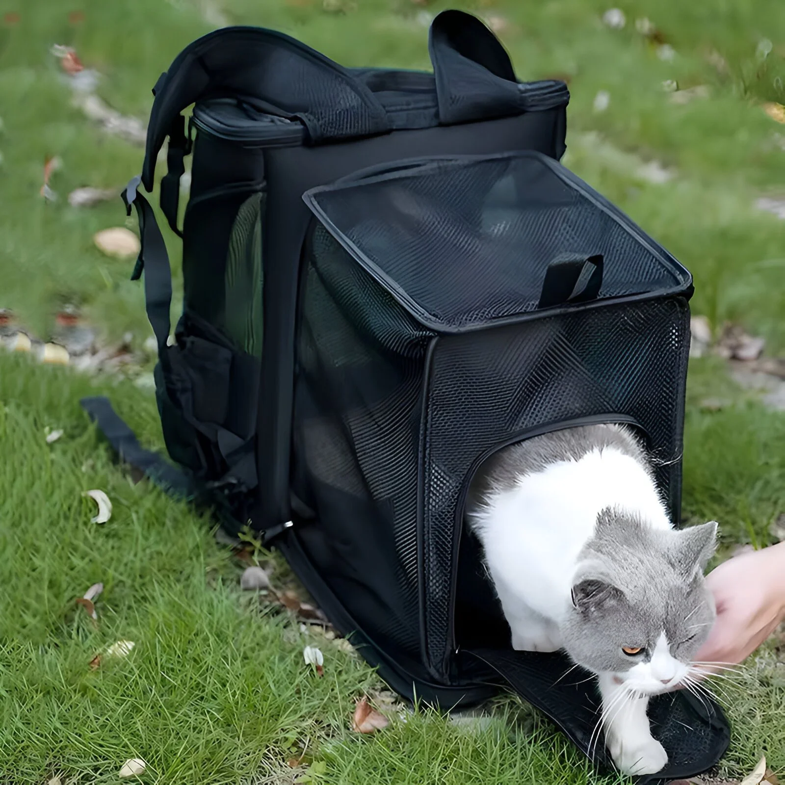 Expandable Pet Carrier Backpack for Cats & Dogs up to 18 lbs - Breathable & Foldable