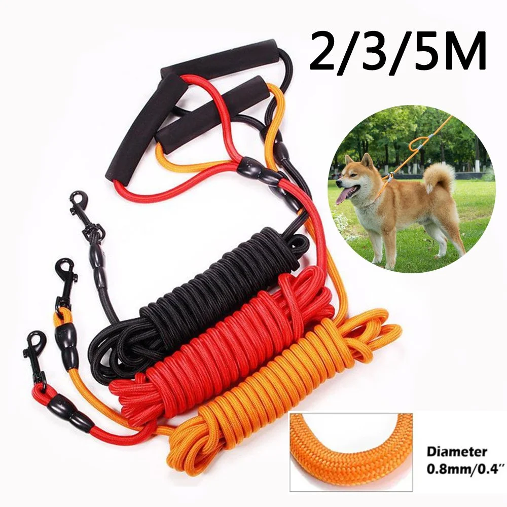 Heavy Duty Dog Leash - Nylon Training Lead for Small, Medium, and Large Dogs (2M/3M/5M)