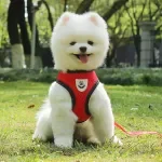 Breathable Mesh Dog Harness & Leash Set with Reflective Straps