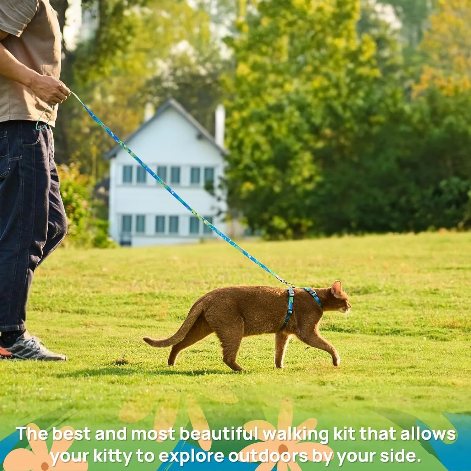 Lightweight Escape-Proof Adjustable Cat Harness and Leash Set