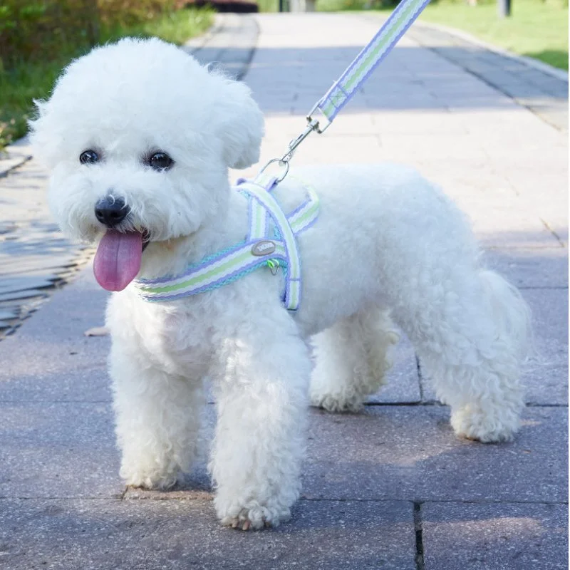No-Pull Escape-Proof Dog Harness & Leash Set – Adjustable Reflective Vest