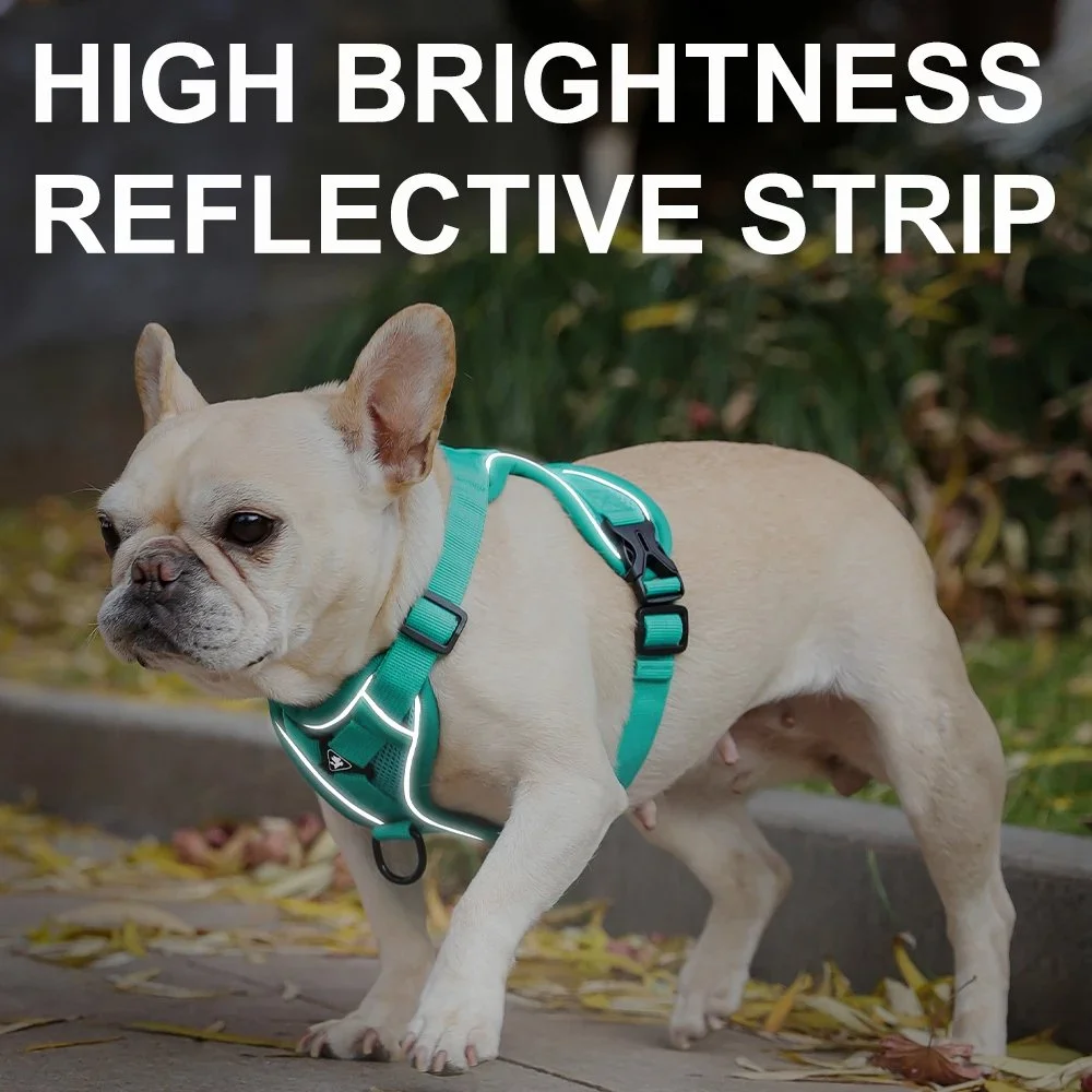 Adjustable Reflective Pet Harness and Leash Set for Dogs and Cats
