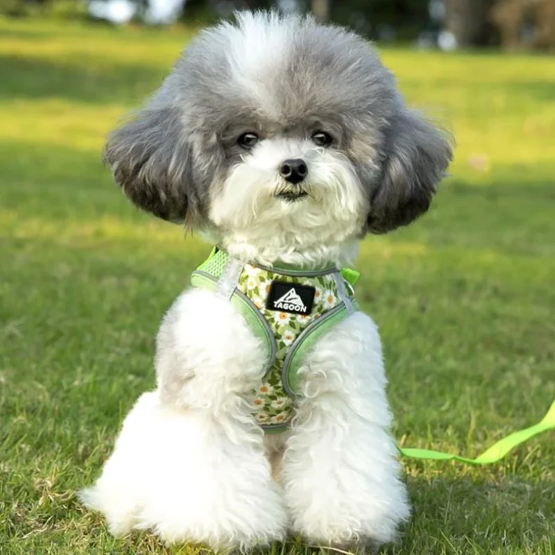 Breathable Escape-Proof Cat Harness with Reflective Leash – Adjustable & Comfy