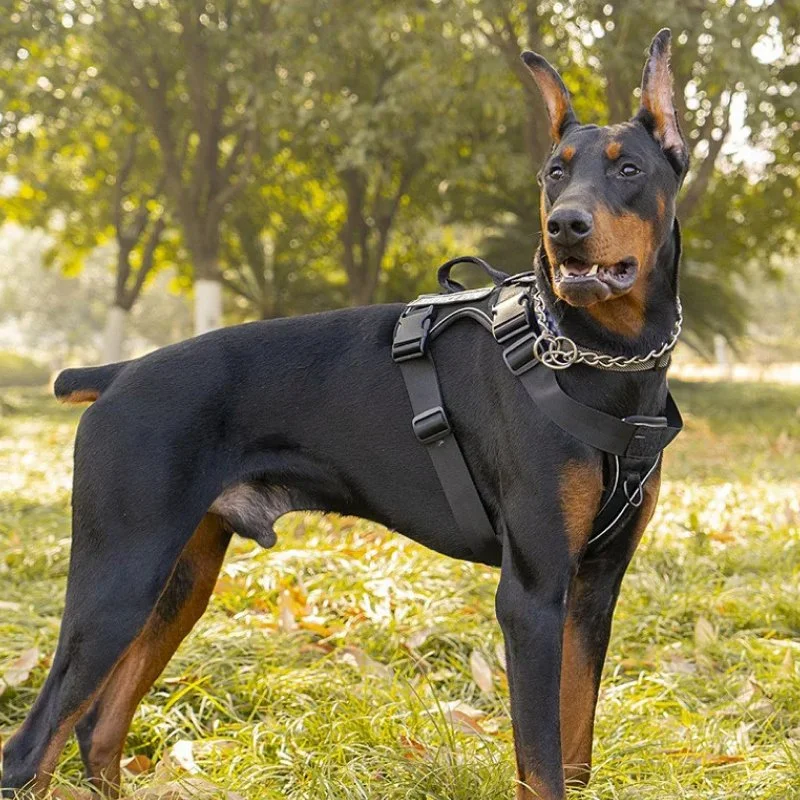 Anti-Pull Tactical Dog Harness with Reflective Strips for Large Dogs