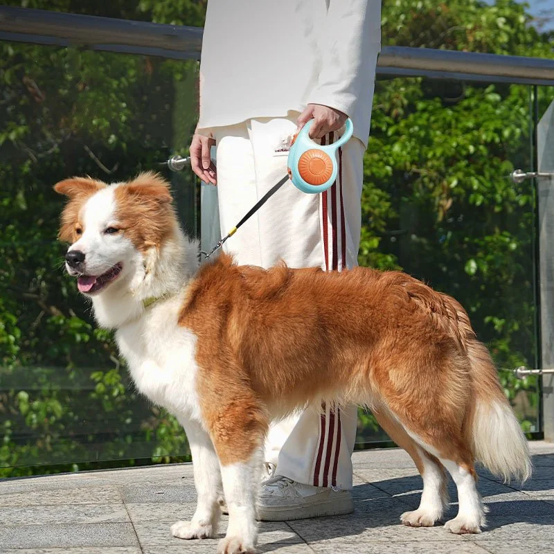 Durable Two-Tone Retractable Dog Leash with Anti-Escape Lock