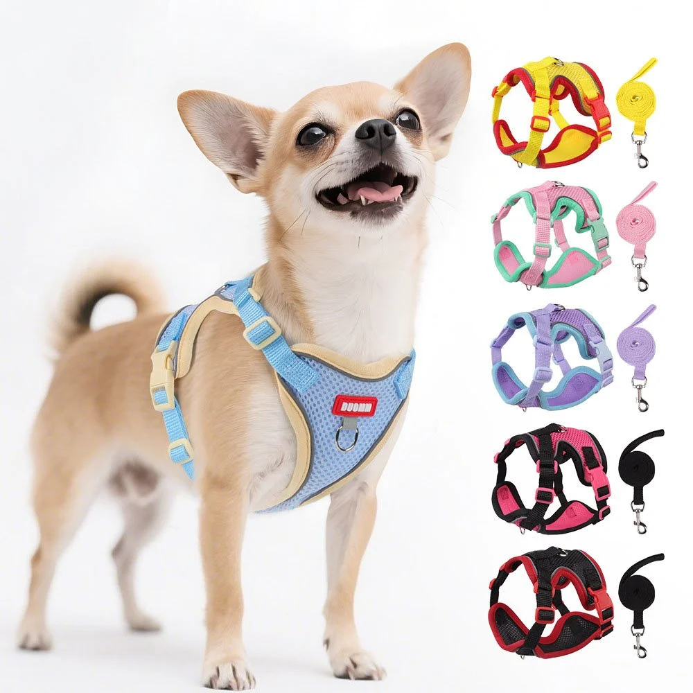 Adjustable Kitten & Small Dog Harness – Secure, Comfortable, Anti-Escape Chest Strap