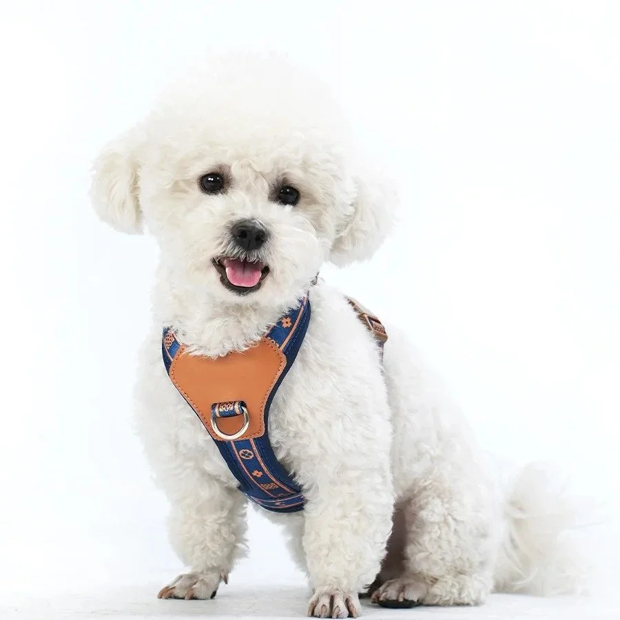 Multi-Functional Pet Harness and Collar for Dogs and Cats