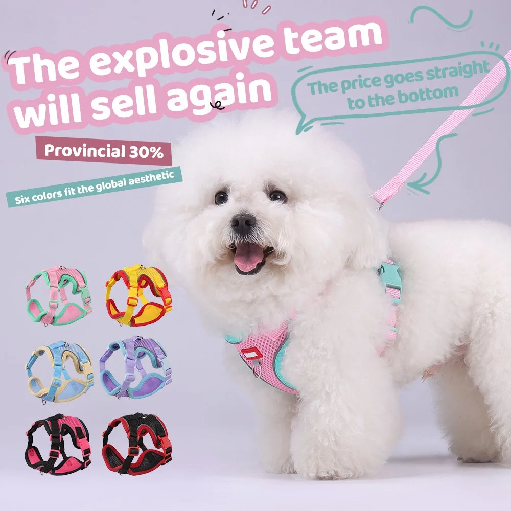 Breathable Summer Pet Harness and Leash Set for Small Dogs and Cats