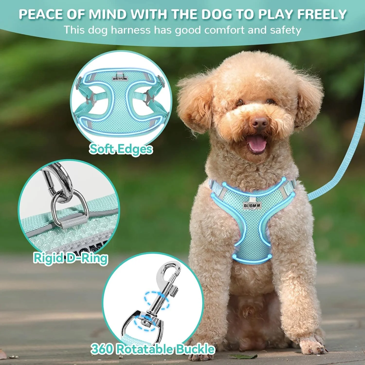 Breathable Mesh Dog Harness with Leash for Small & Medium Dogs