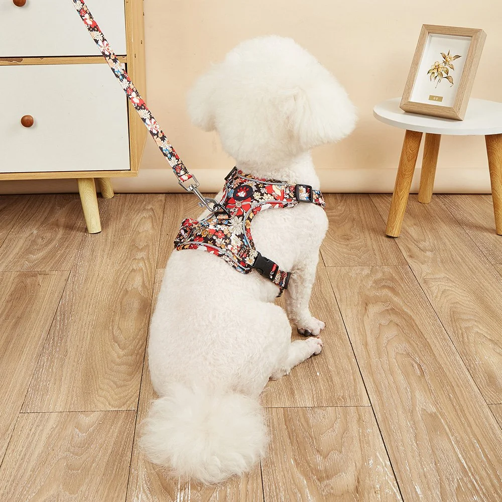 Reflective Dog Harness and Leash Set - Breathable Printed Vest for Small & Medium Dogs