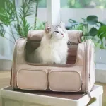 Airline Approved Soft-Sided Pet Carrier Backpack for Cats & Small Dogs