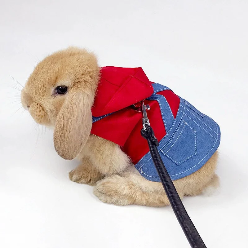 Cute Bunny Harness and Leash Set for Small Pets