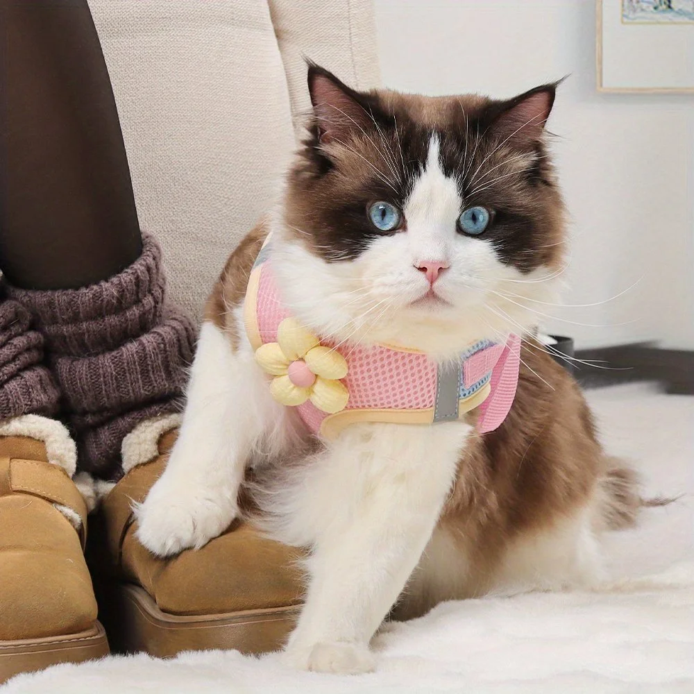 Breathable Mesh Pet Harness and Leash for Dogs and Cats