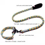 Shock-Absorbing Dog Collar Leash Set - Retractable Bungee Lead for Medium & Large Dogs