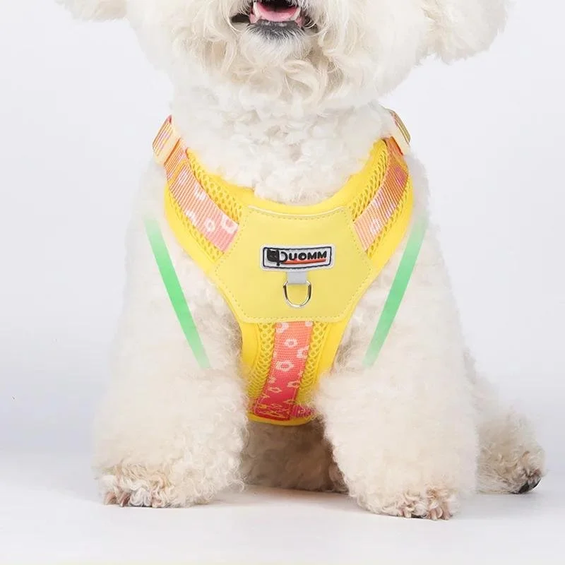 Dopamine Color Block Dog Harness Vest & Leash Set – Breathable Mesh