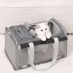 Foldable Pet Travel Carrier Bag for Small Cats and Dogs