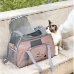 Foldable Pet Travel Carrier Bag for Small Cats & Dogs